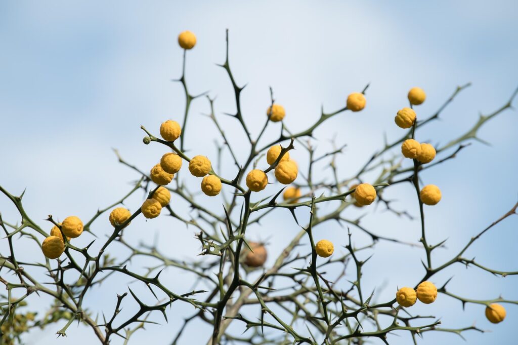家庭用脱毛器の効果は本当にあるのか？