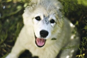 脱毛によるニキビ対策は本当に効果があるのか？