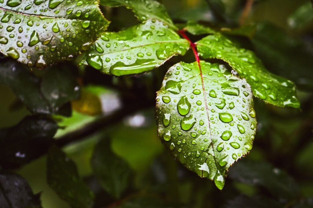 全身脱毛において保湿が重要な理由とは？