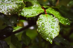 全身脱毛において保湿が重要な理由とは？