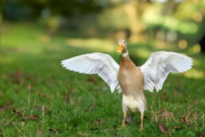 全身脱毛の体験をブログで詳しく紹介するメリットは？