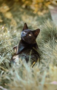 全身脱毛の毛周期における最適な間隔はどのくらい？