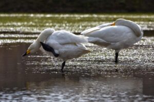 全身脱毛後の痒みはいつから始まるのか？