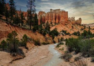 剃ると脱毛クリーム、どちらが肌に優しいのか？