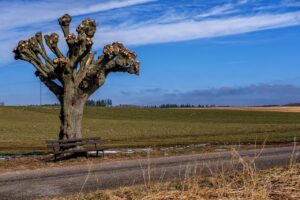 陰部脱毛における剃毛の効果と注意点は？
